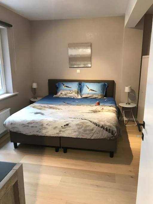 Casita & Ostende